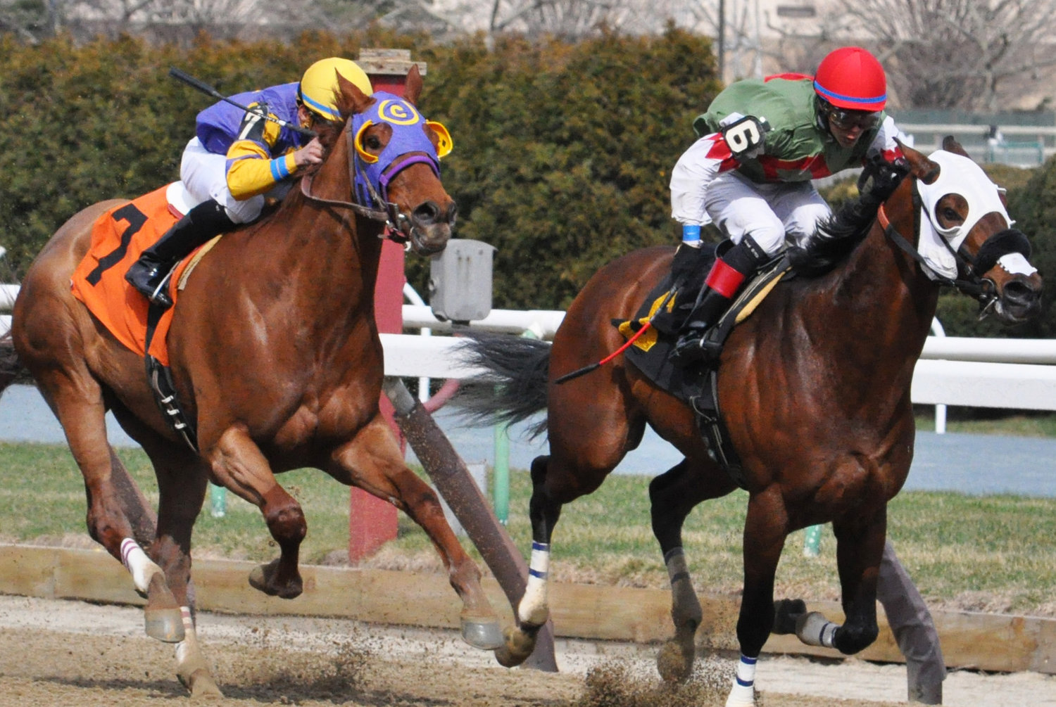 Delayed opening for Belmont racing | Herald Community Newspapers | www